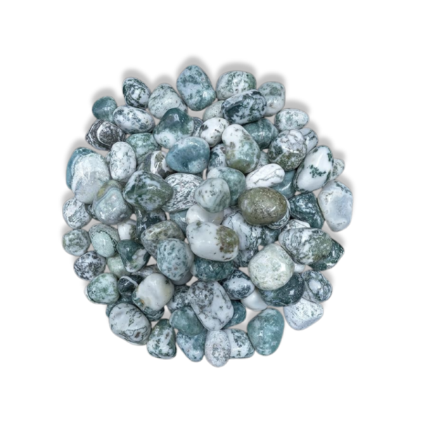tree agate gemstone tumble manufacturer supplier exporter wholesaler jaipur Khambhat rajasthan