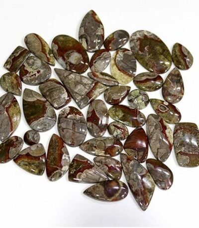 mushroom jasper gemstone cabochon manufacturer supplier exporter wholesaler jaipur Khambhat rajasthan